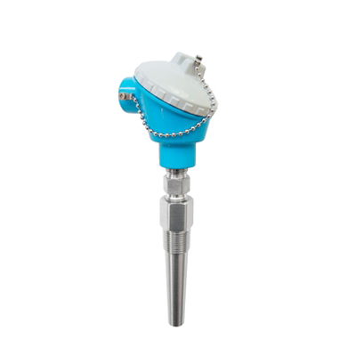 Endress+Hauser Modular RTD thermometer, US style TH13