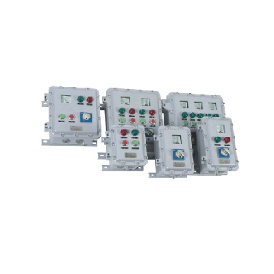 Warom BZC54-D explosion proof control station 